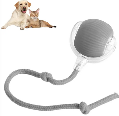 Smart Rolling Pet Ball - Freshdropps